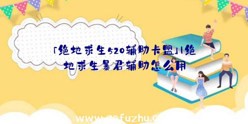 「绝地求生520辅助卡盟」|绝地求生暴君辅助怎么用